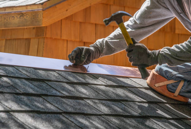 Best Roof Moss and Algae Removal  in Elkins, WV