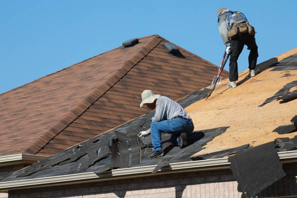 Best Roof Coating and Sealing  in Elkins, WV