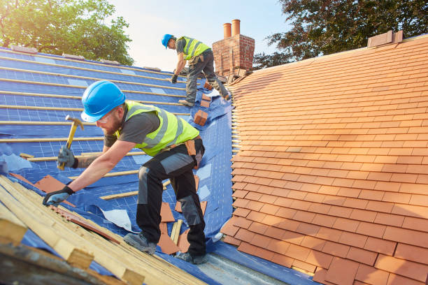 Best Roof Leak Repair  in Elkins, WV